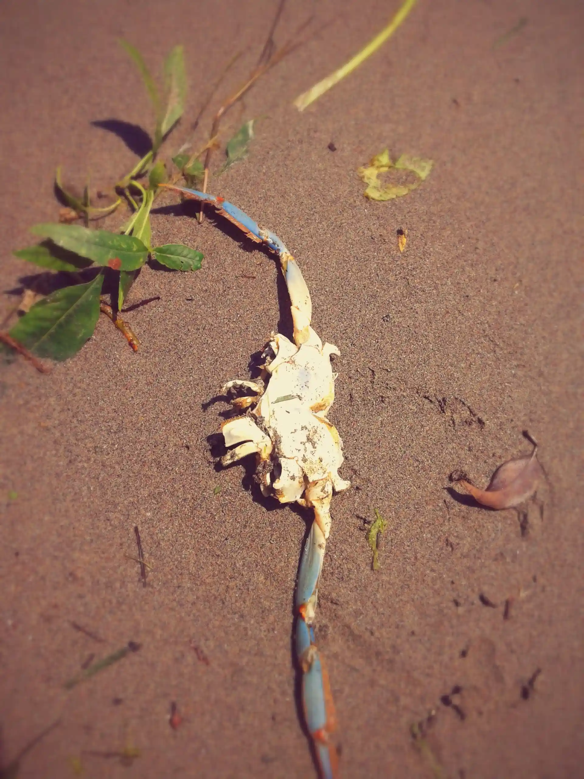 20140706_151915~2
